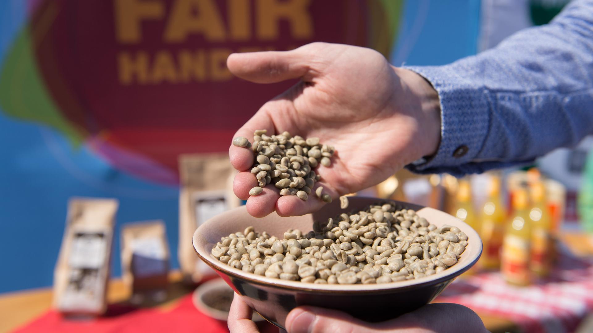 Grüne Kaffeebohnen "fair trade"