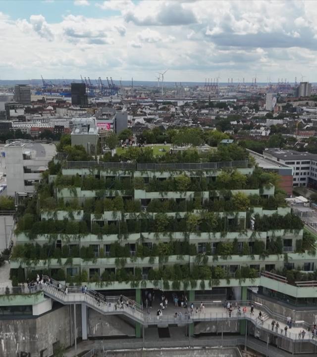 Grüner Bunkter in St. Pauli