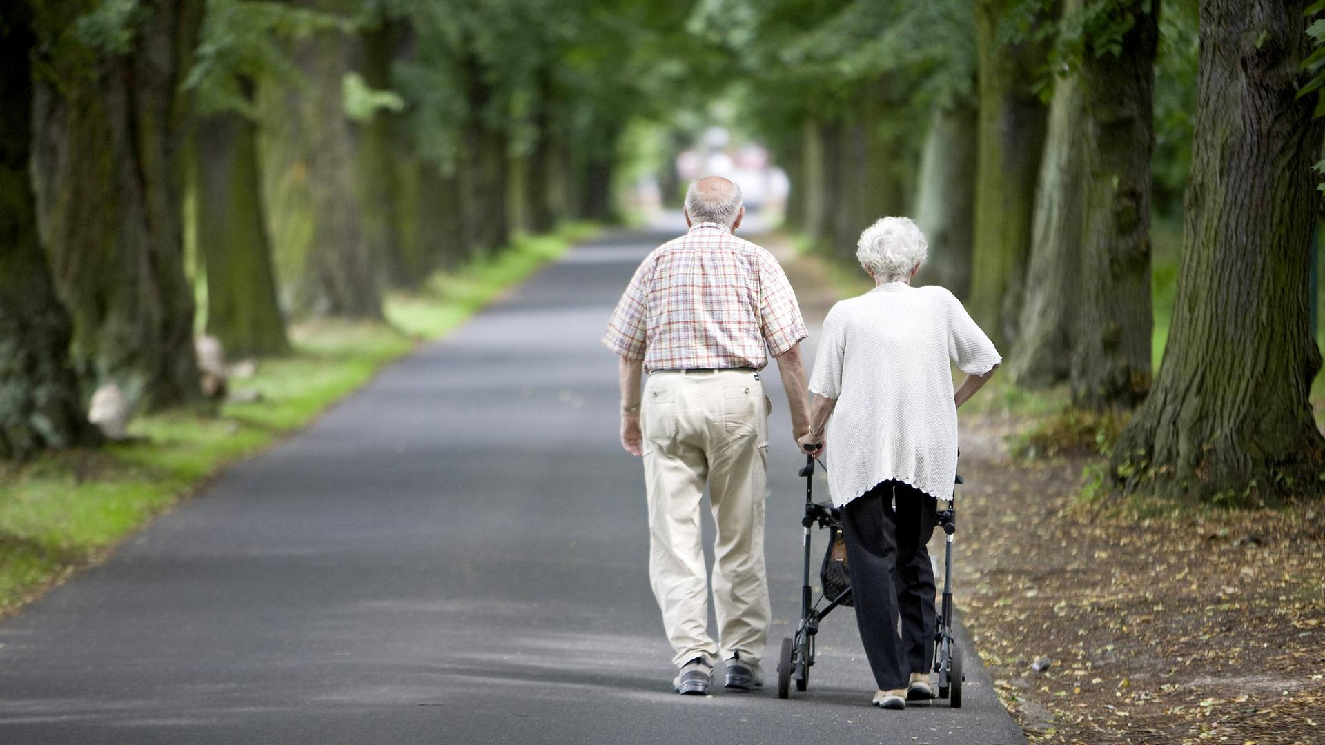 Archiv: Ehepaar geht eine Allee entlang