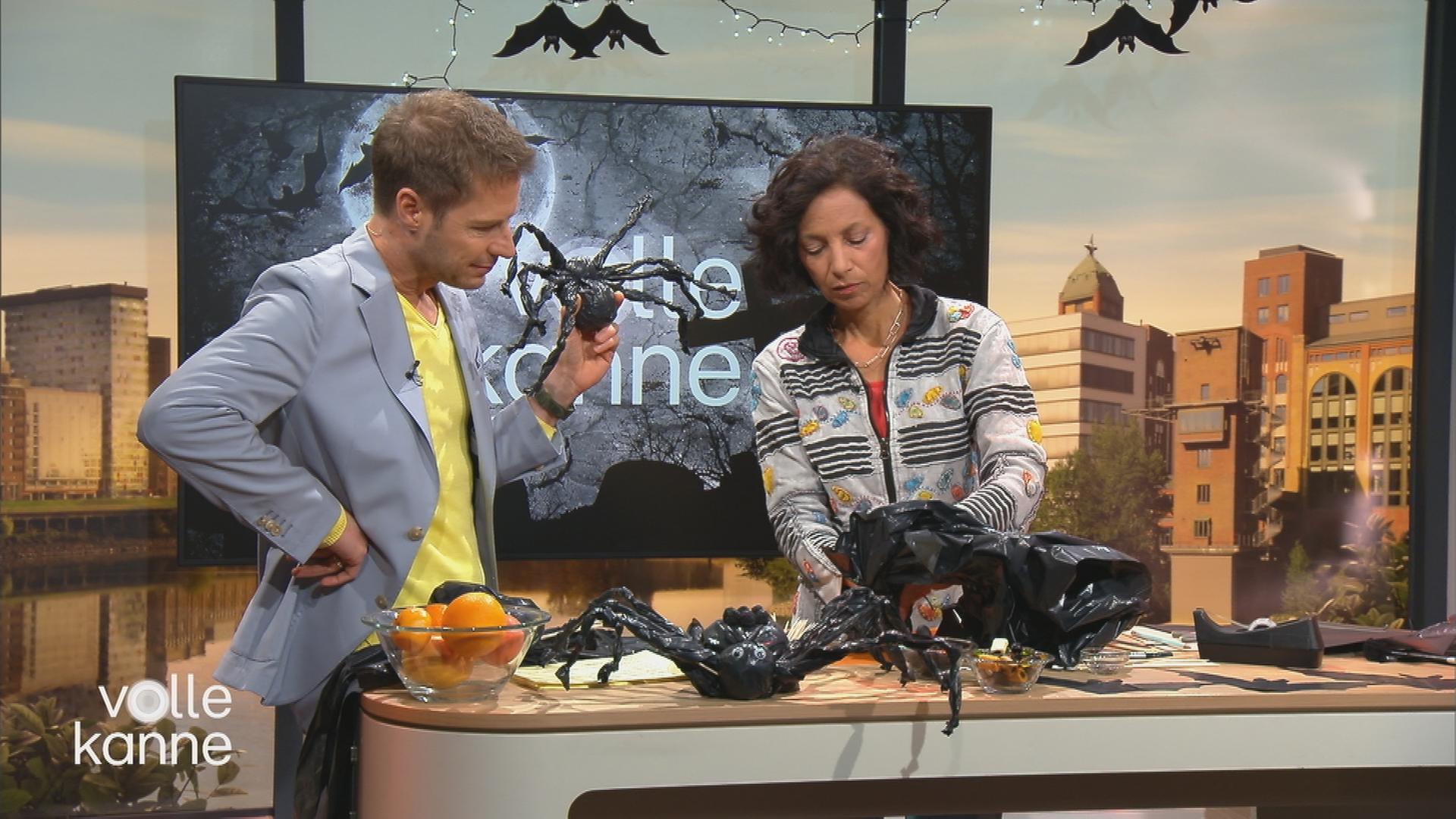 Florian Weiss und Usha Jain basteln im "Volle Kanne"-Studio Halloween-Deko: Fledermäuse und Spinnen.