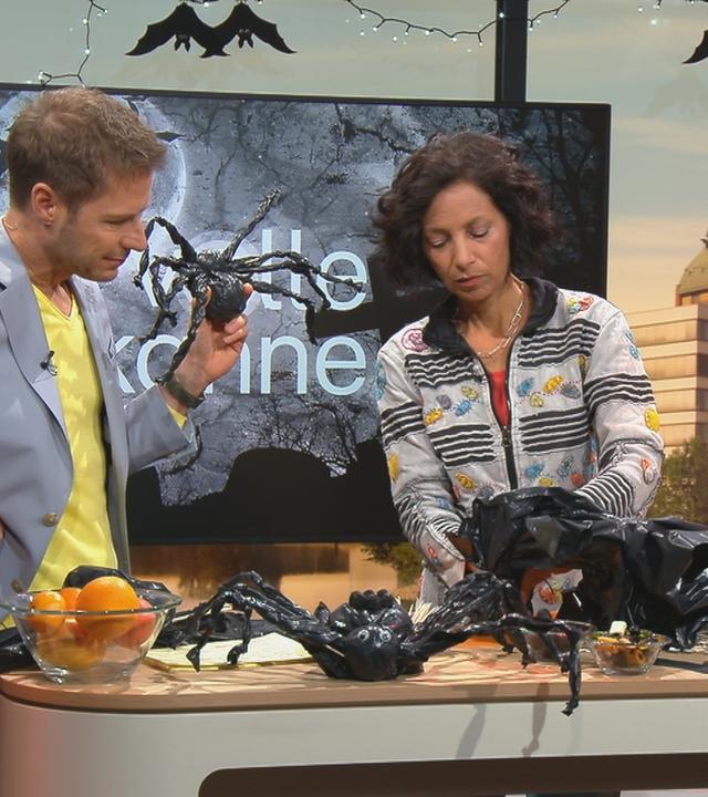 Florian Weiss und Usha Jain basteln im "Volle Kanne"-Studio Halloween-Deko: Fledermäuse und Spinnen.