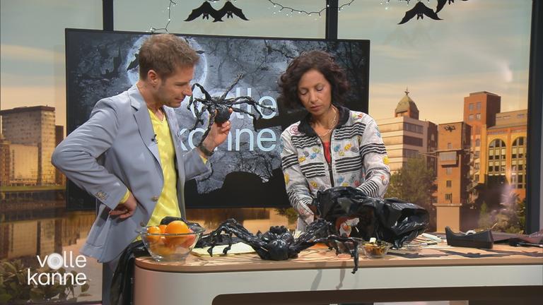 Florian Weiss und Usha Jain basteln im "Volle Kanne"-Studio Halloween-Deko: Fledermäuse und Spinnen.