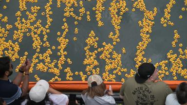 90,000 Rubber Ducks Race Down Chicago River