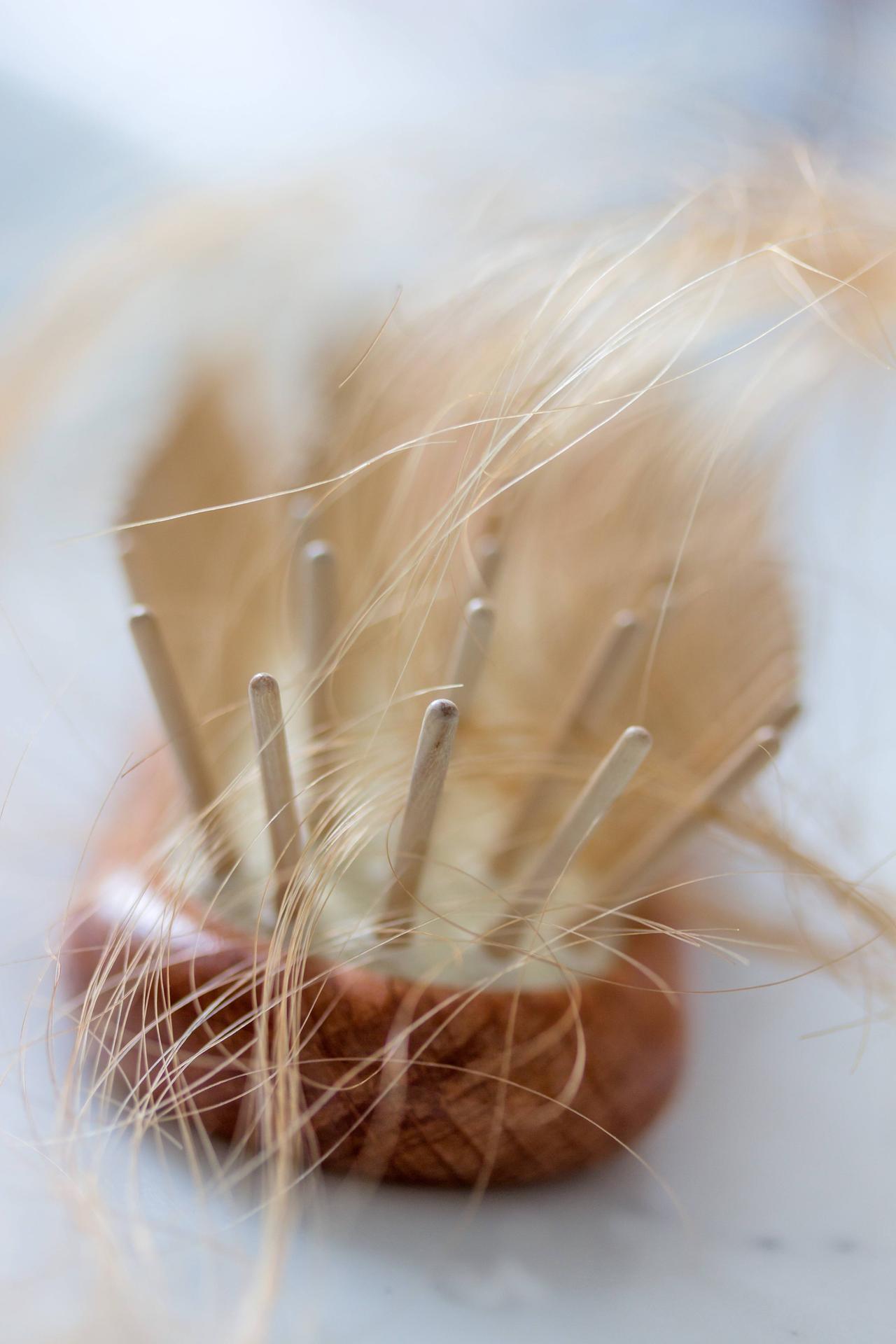Bürste mit vielen Haaren
