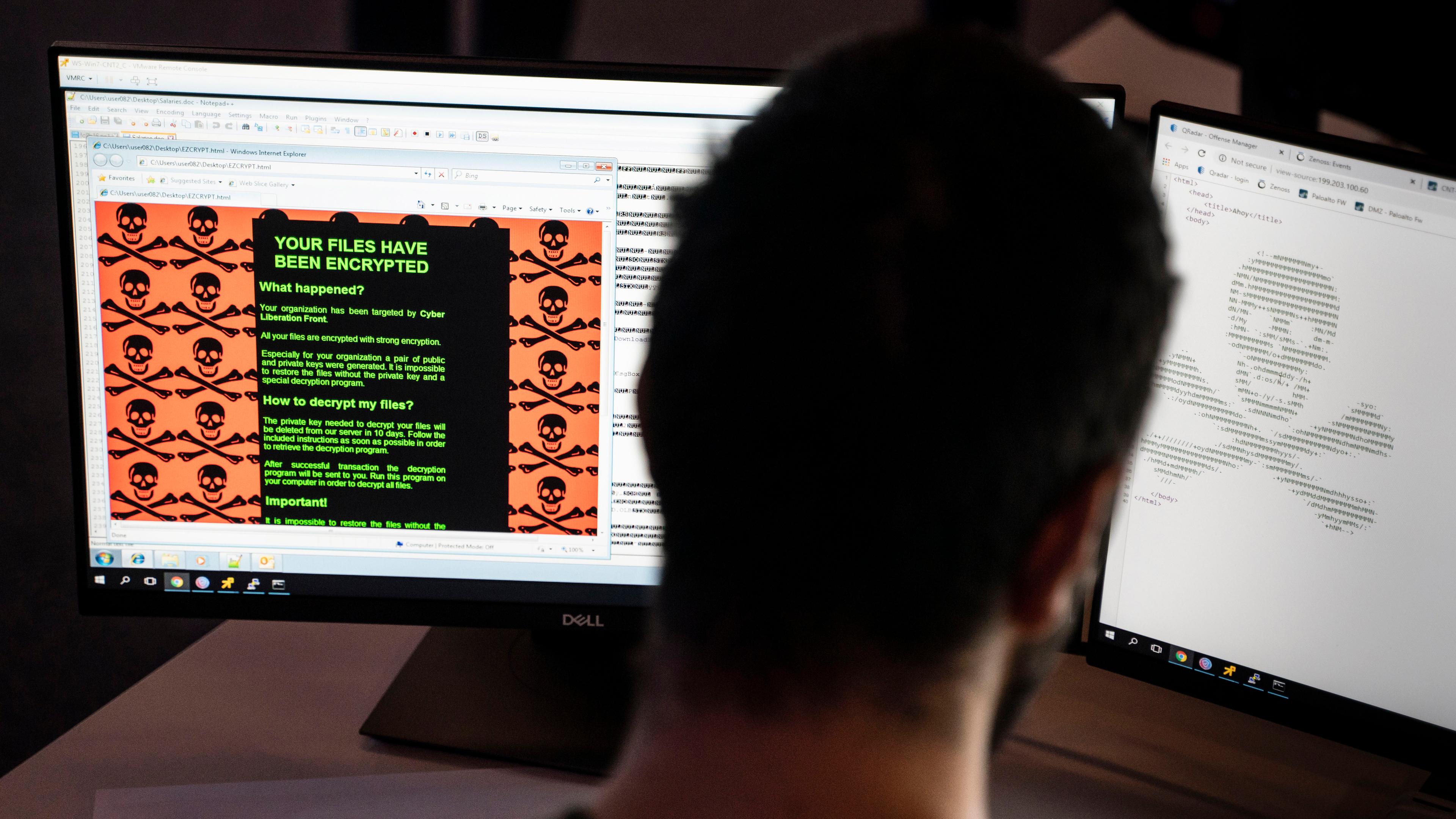 Hessen, Darmstadt: IT Security Wissenschaftler trainieren wie eingeschleuste Erpresser-Programme "ransomware" unschädlich gemacht werden können.