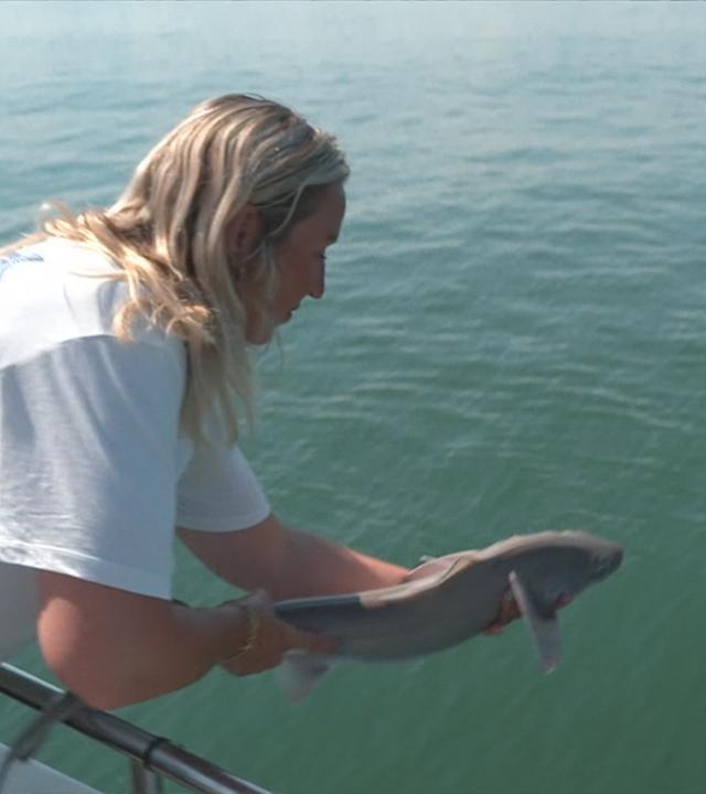 Frau entlässt Hai zurück ins Meer