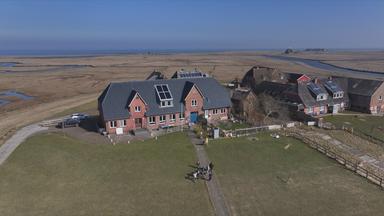 Hallig Hooge