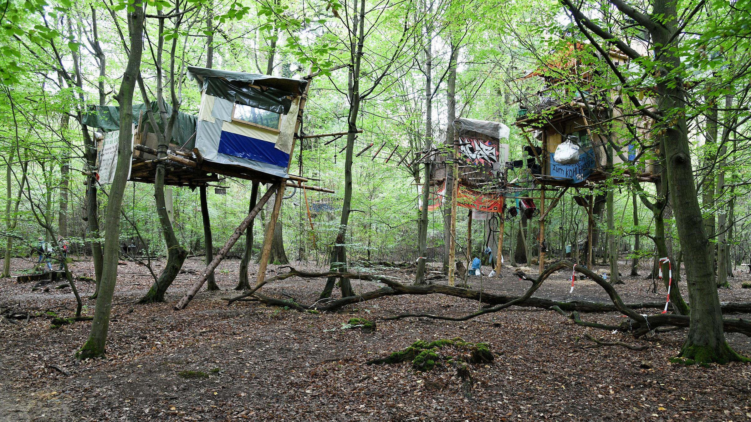 Baumhäuser im Hambacher Forst
