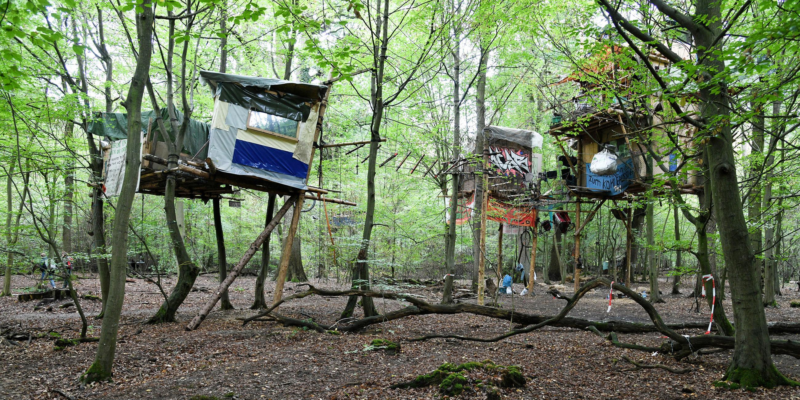 Baumhäuser im Hambacher Forst