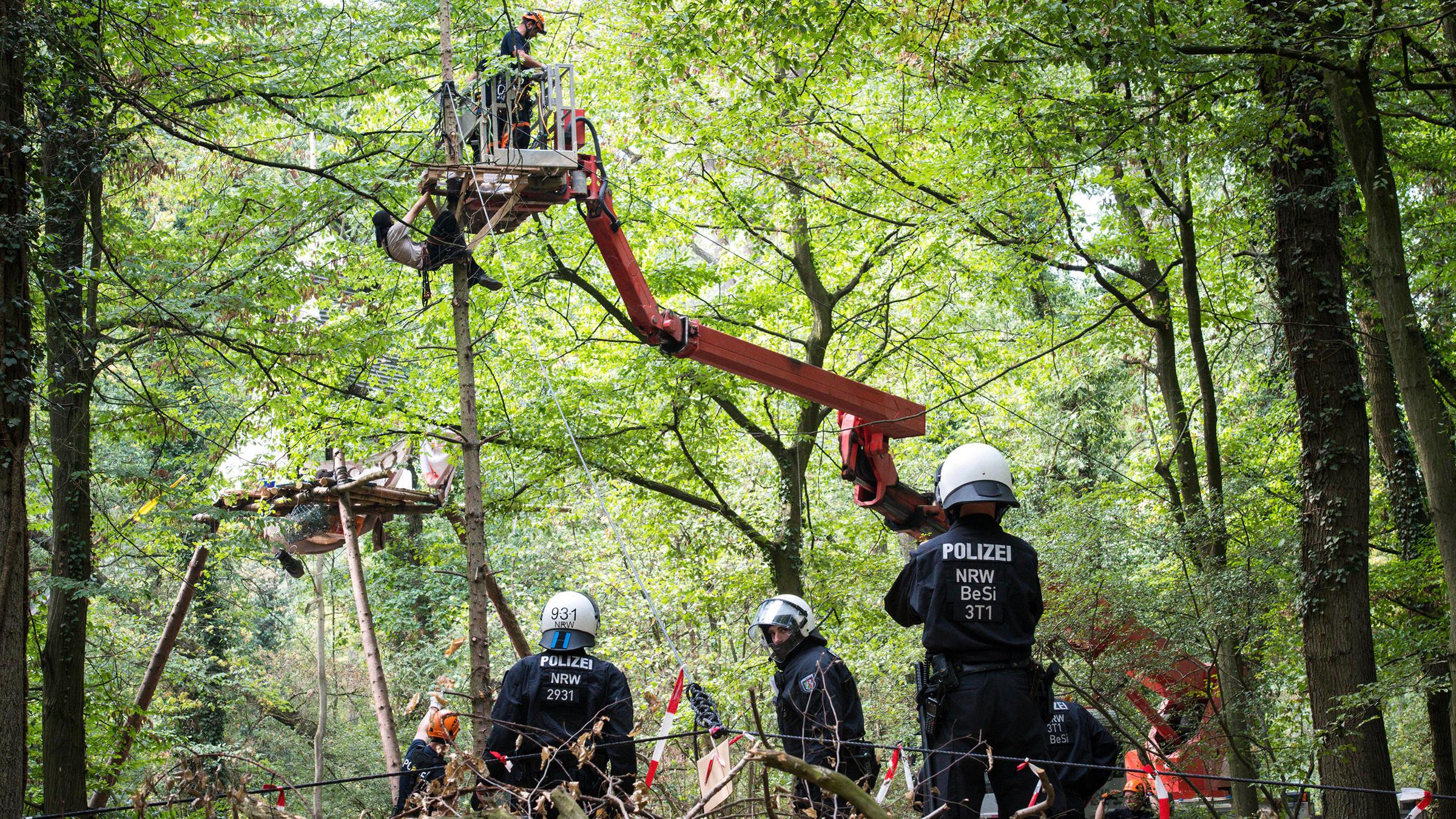 Polizisten und Aktivisten im Hambacher Forst