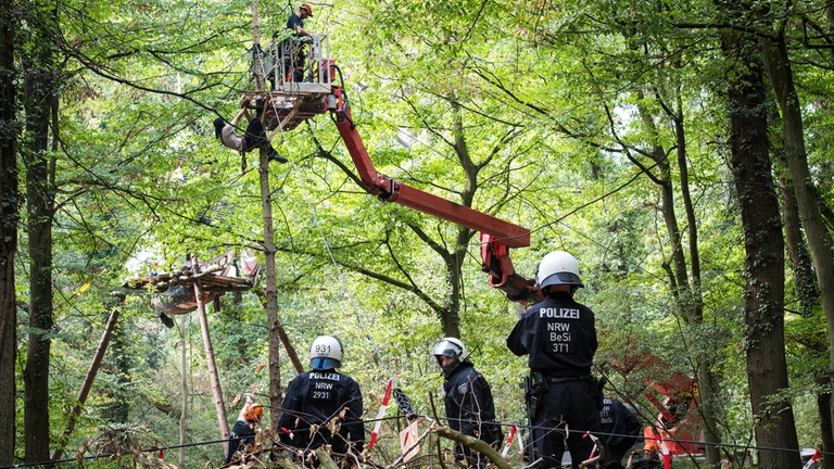 Polizisten und Aktivisten im Hambacher Forst