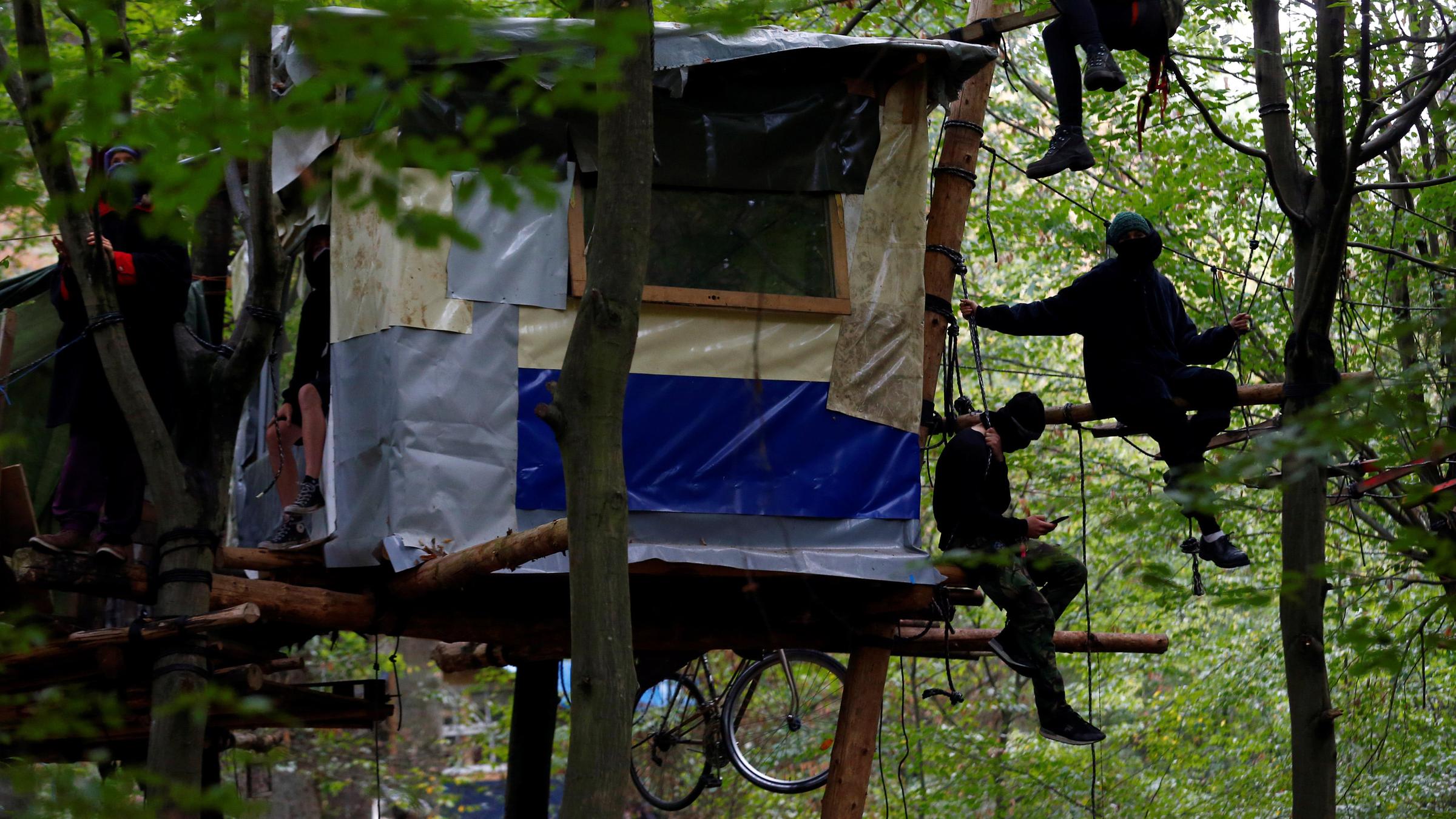 Umweltaktivisten hängen in den Bäumen des Hambacher Forsts