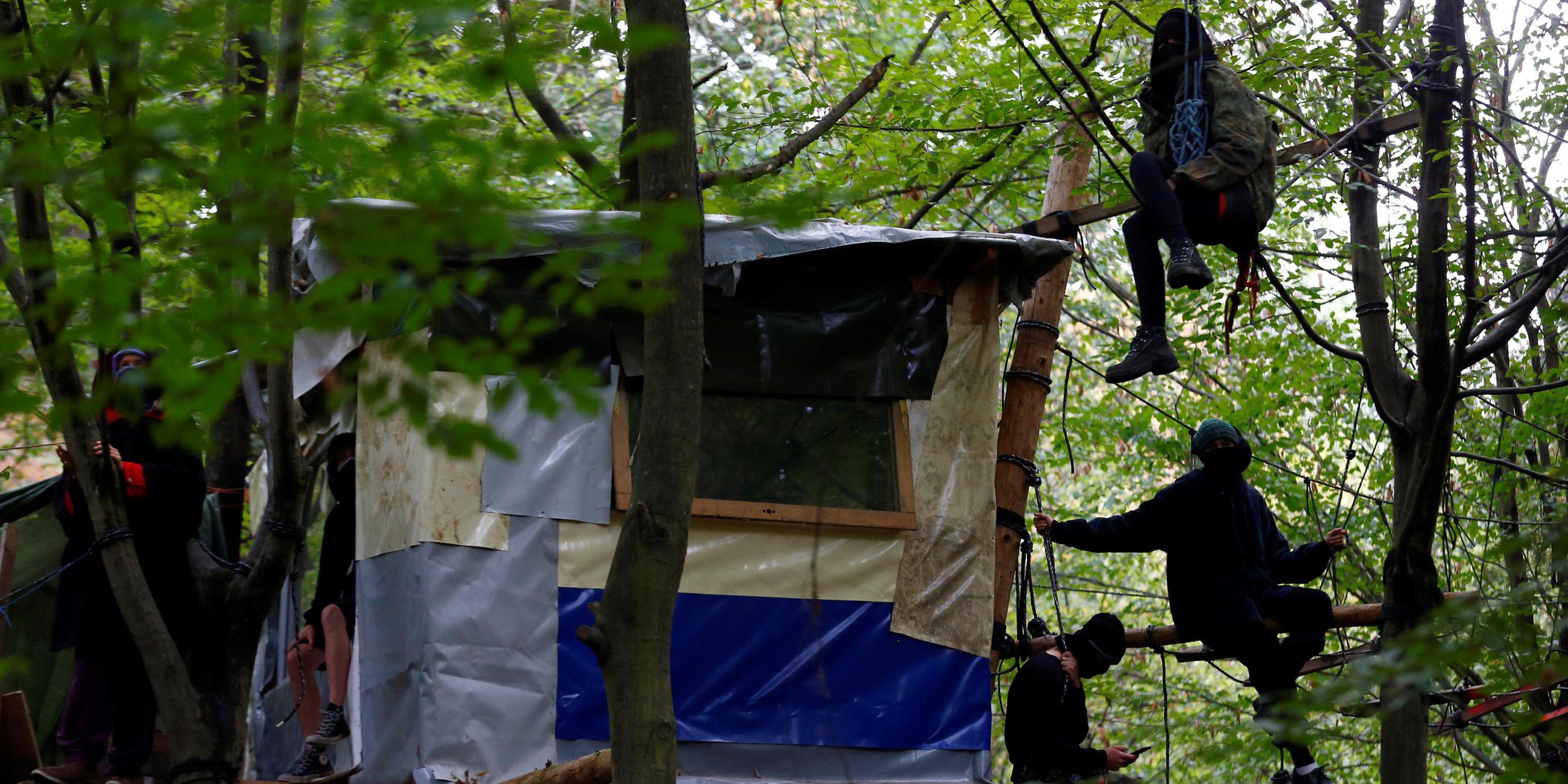 Umweltaktivisten hängen in den Bäumen des Hambacher Forsts