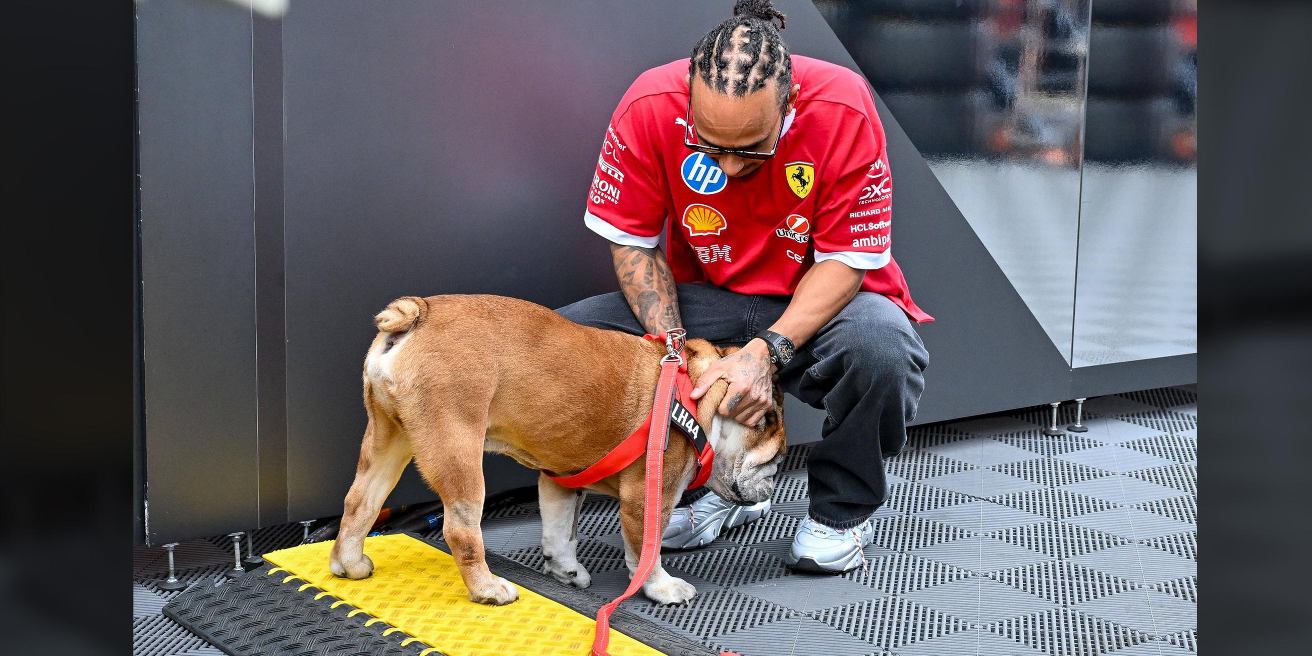 Formel 1 Fahrer Lewis Hamilton mit seinem Hund Roscoe nach dem zweiten Freien Training der Formel 1.