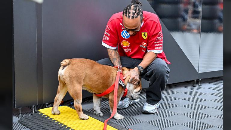 Formel 1 Fahrer Lewis Hamilton mit seinem Hund Roscoe nach dem zweiten Freien Training der Formel 1.