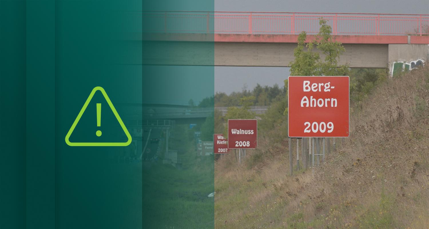 Bäume und Schilder mit Baumnamen rechts neben einer Autobahn bei Kerpen