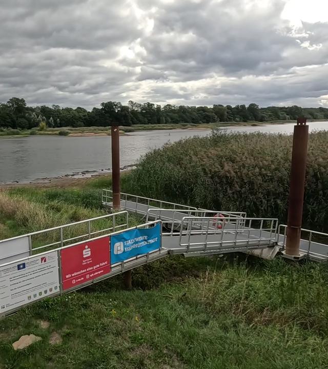 Ein Anlegesteg aus Metall an einem Flussufer, links und rechts von hohen Gräsern umgeben.