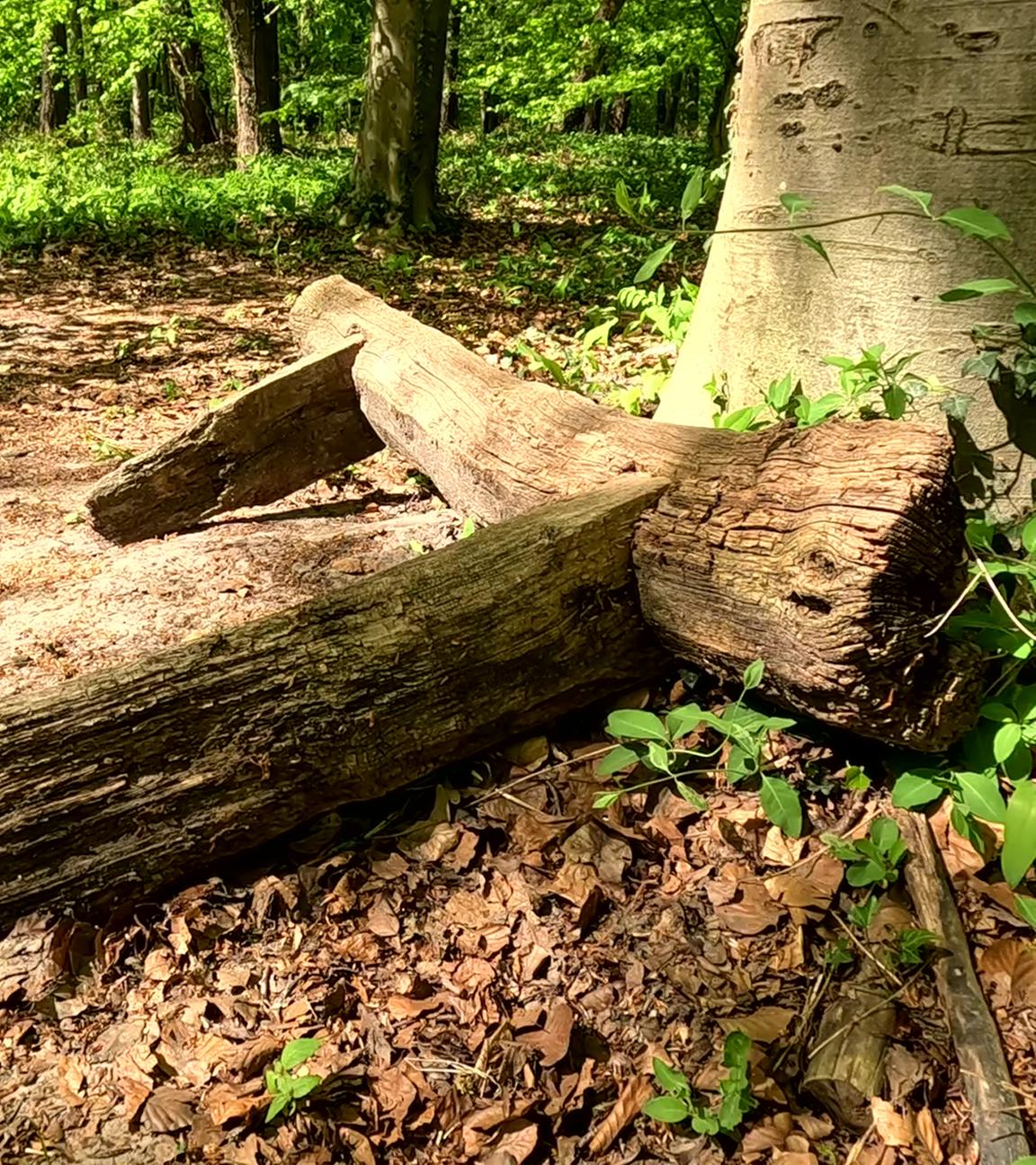 Hammer der Woche - Kaputte Bänke in Hannover