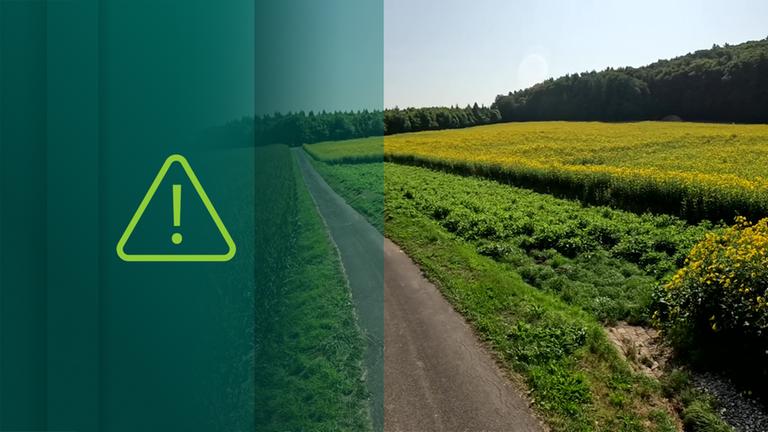 Hammer-Wohlmannsgesees