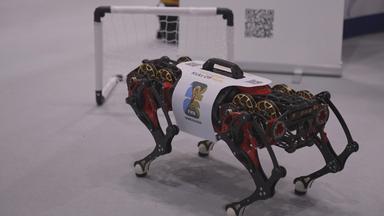 Roboter auf Messe in Hannover