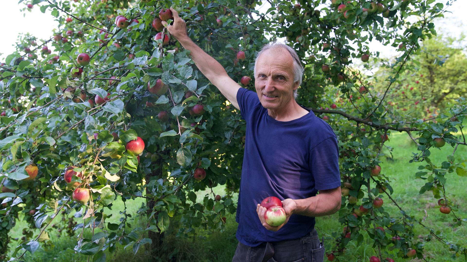 Hans-Joachim Bannier