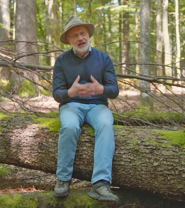 Harald Lesch im Wald