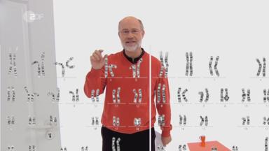 Harald Lesch hinter einer Tafel mit Abbildung von Genen