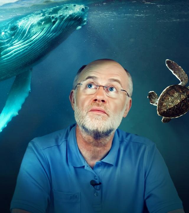Grafik: Über Harald Lesch schwimmt ein Wal und eine Schildkröte