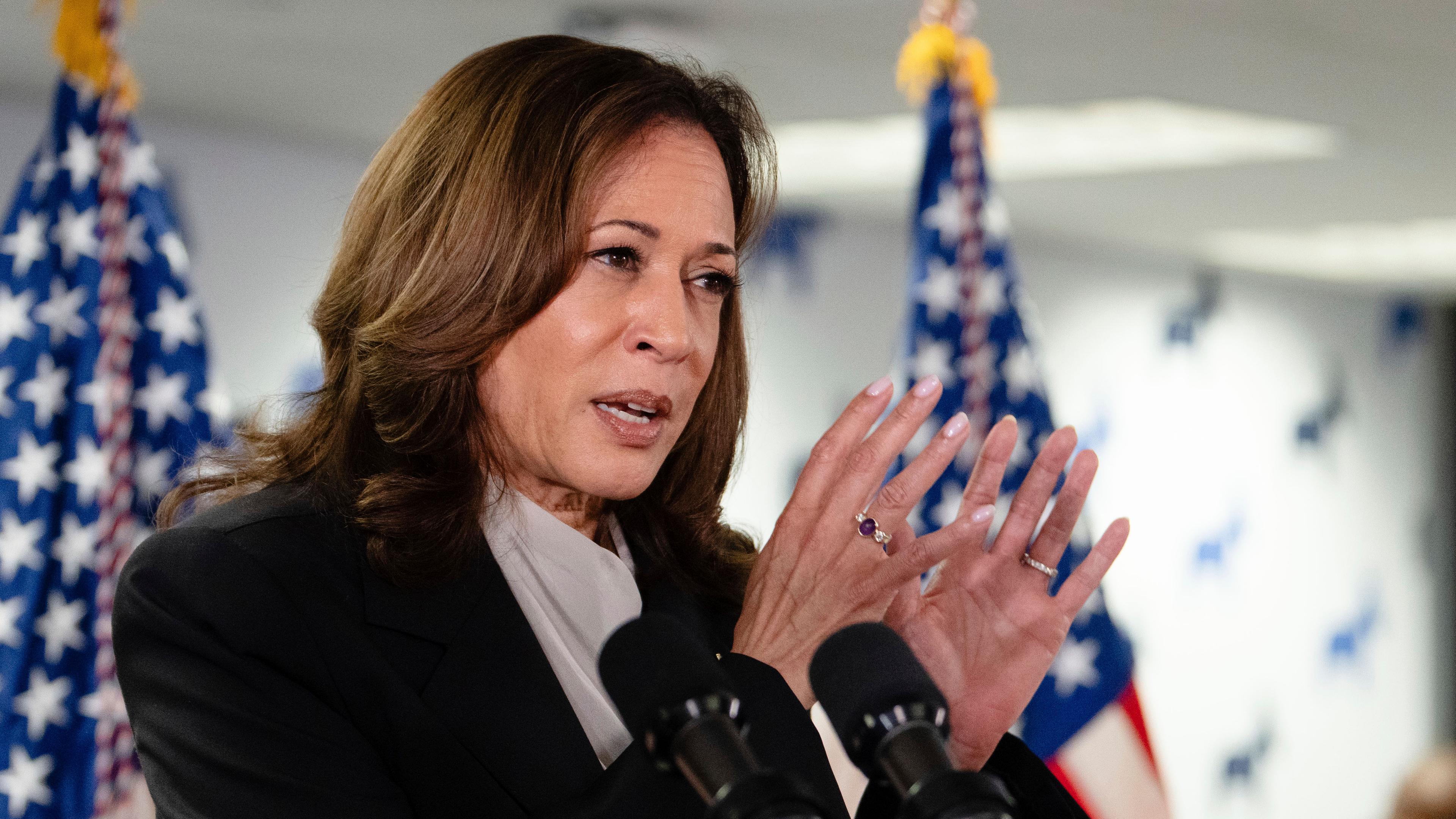 US-Vizepräsidentin Kamala Harris spricht vor Wahkampfhelfern im US-Staat Delaware.