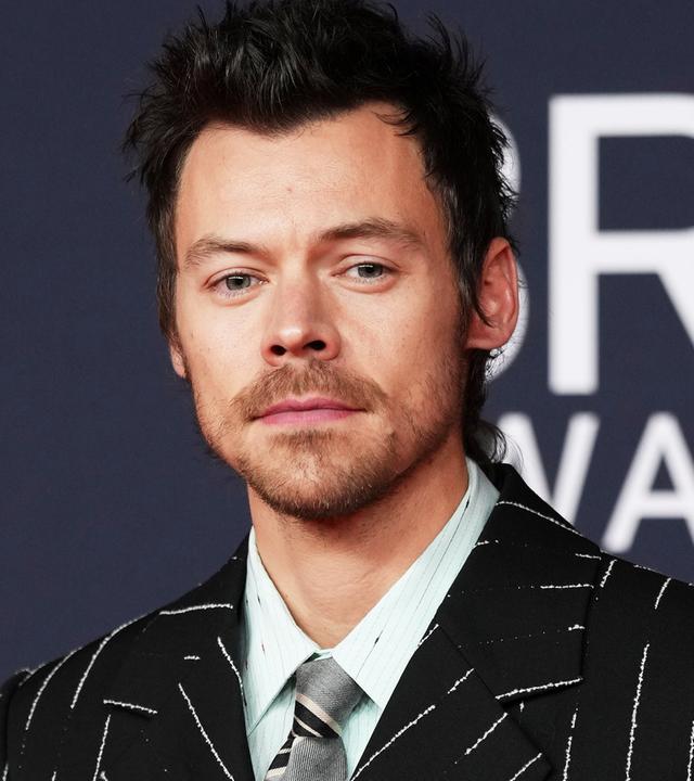 Sänger Harry Styles bei einer öffentlichen Veranstaltung. 