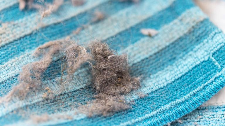 Staubknäuel auf einem Staubtuch