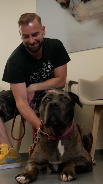 Ein Hund und sein Besitzer sitzen im Wartezimmer vom Tierarzt für den Blutspende-Termin.