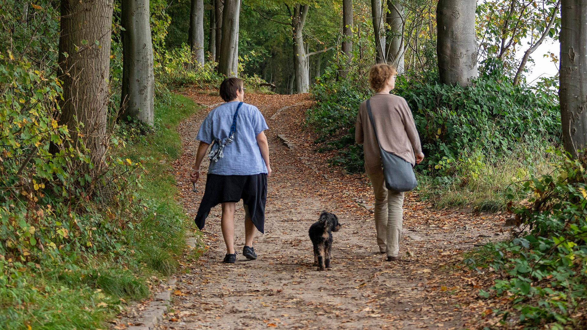 Zwei Frauen spazieren mit ihrem Hund im Wald spazieren