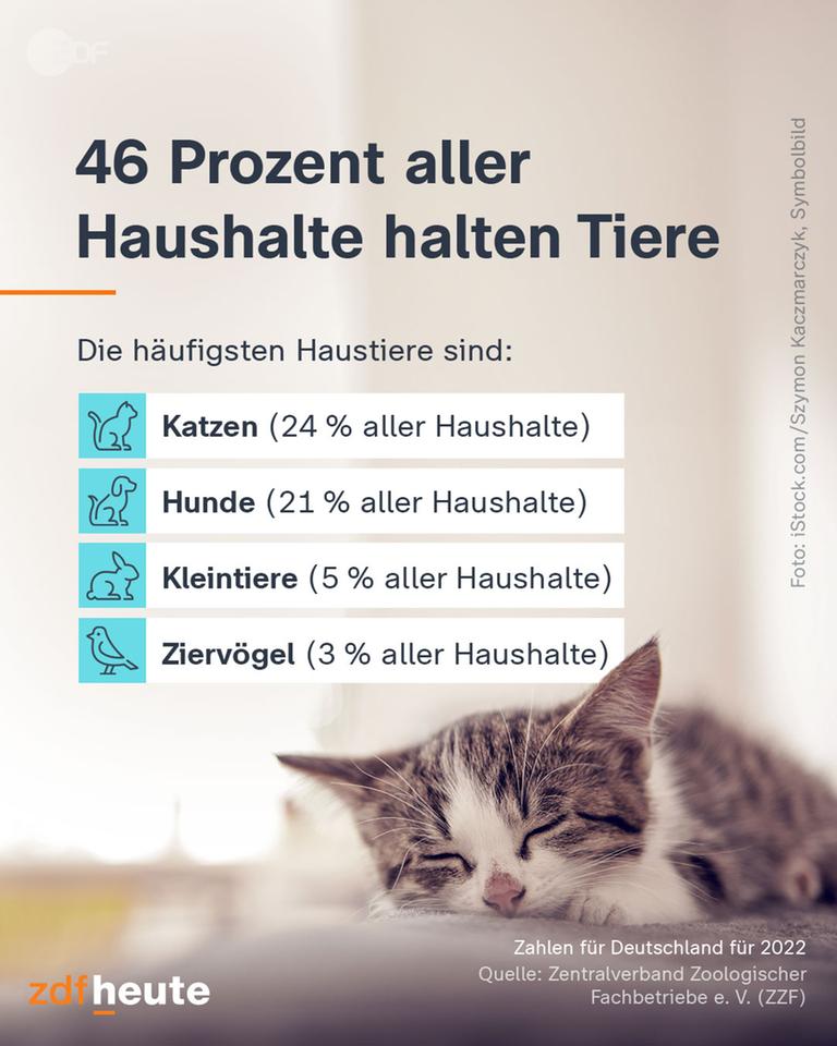 46 Prozent aller Haushalte haben Tiere