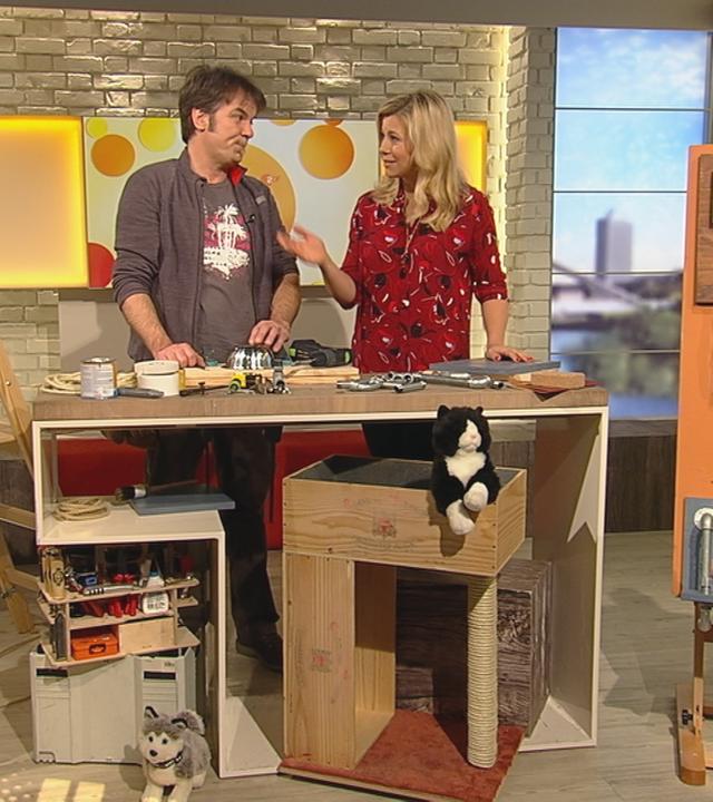 Handwerks-Profi Mick Wewers mit Nadine Krüger im Studio. Mit dabei Katzen- und Hundemöbel, die Wewers gebaut hat.