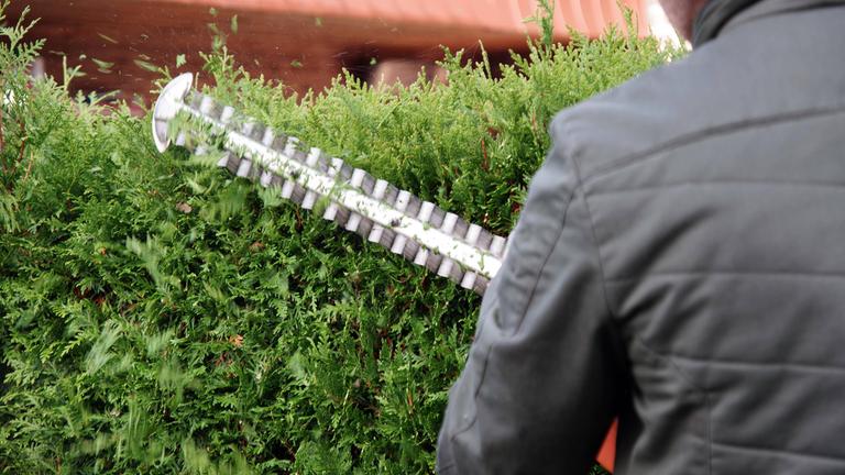 Ein Mann schneidet eine Hecke mit einem Heckenschneider.