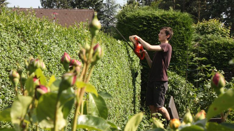 Junger Mann schneidet eine Hecke in seinem Garten