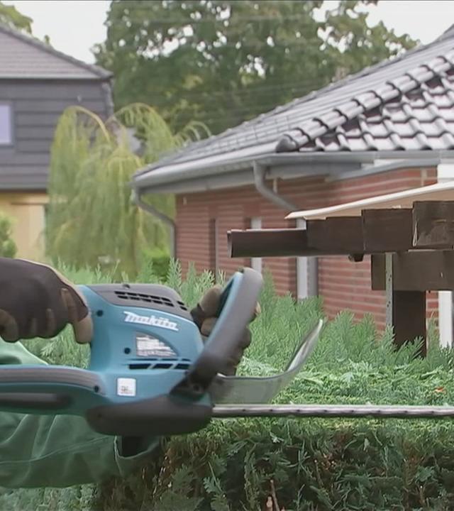 Mann, der eine Hecke schneidet 