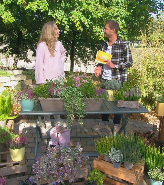 Florian Weiss im Gespräch mit Anja Koenzen vor Heide-Pflanzen.