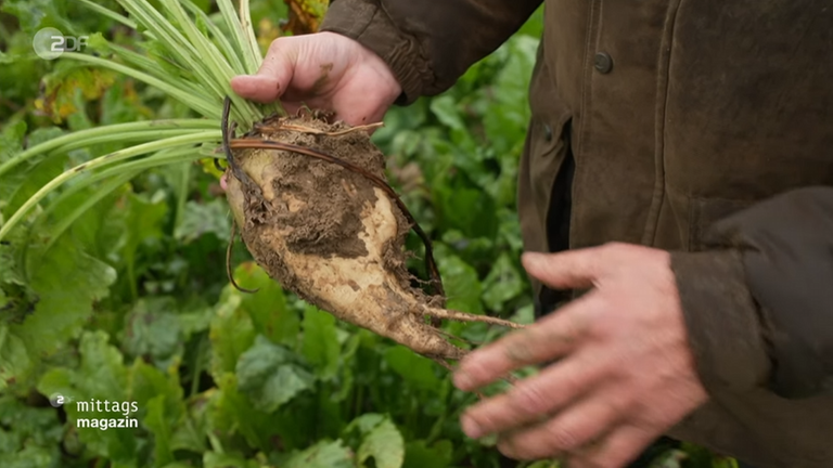 heidelberg-agrarminister