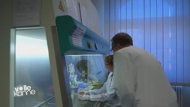 Heilen ohne Antibiotika
