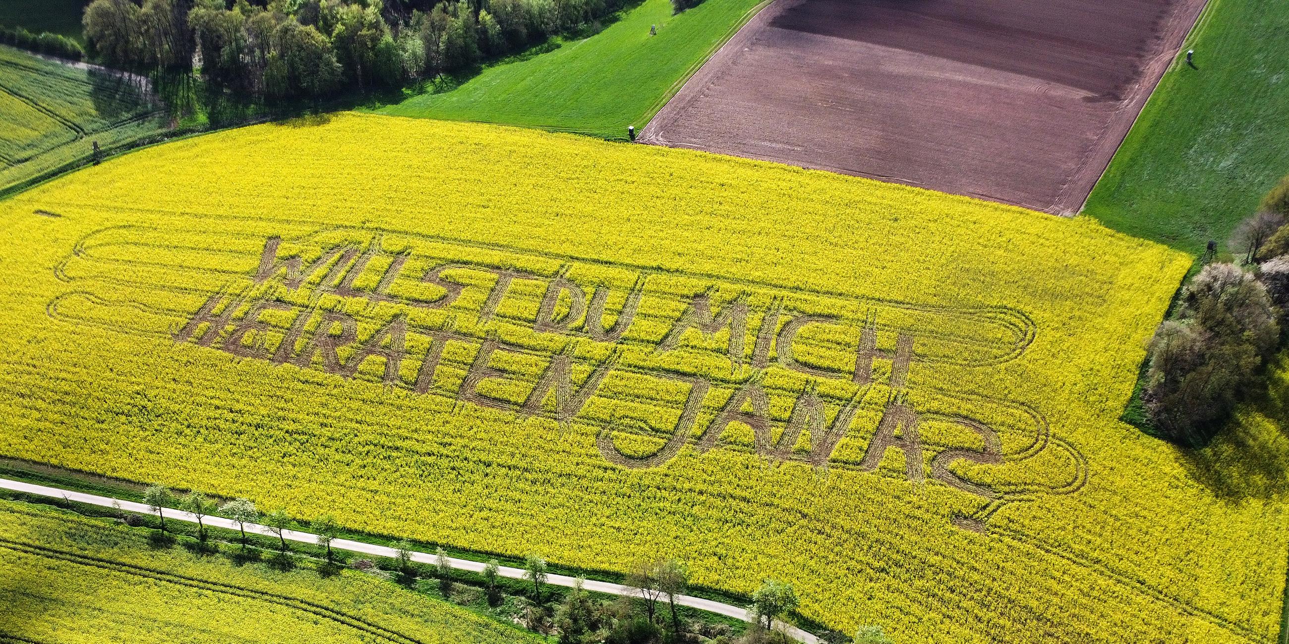 "Willst Du mich heiraten, Jana?", steht in einem Rettichfeld, das Raps zum Verwechseln ähnelt, bei Rauschenberg im Landkreis Marburg-Biedenkop, aufgenommen am 17.04.2024