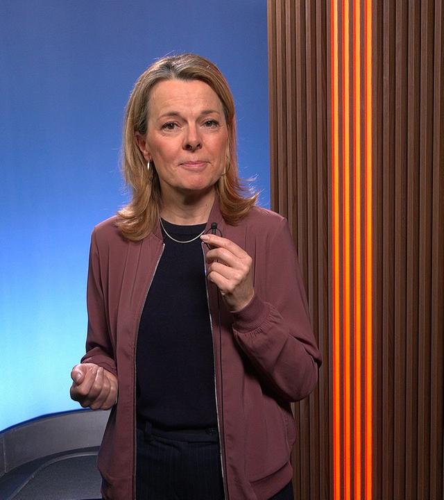 ZDF-Hauptstadtkorrespondentin Henriette de Maizière erklärt was die Bundesregierung beim Thema Grundsicherung plant.