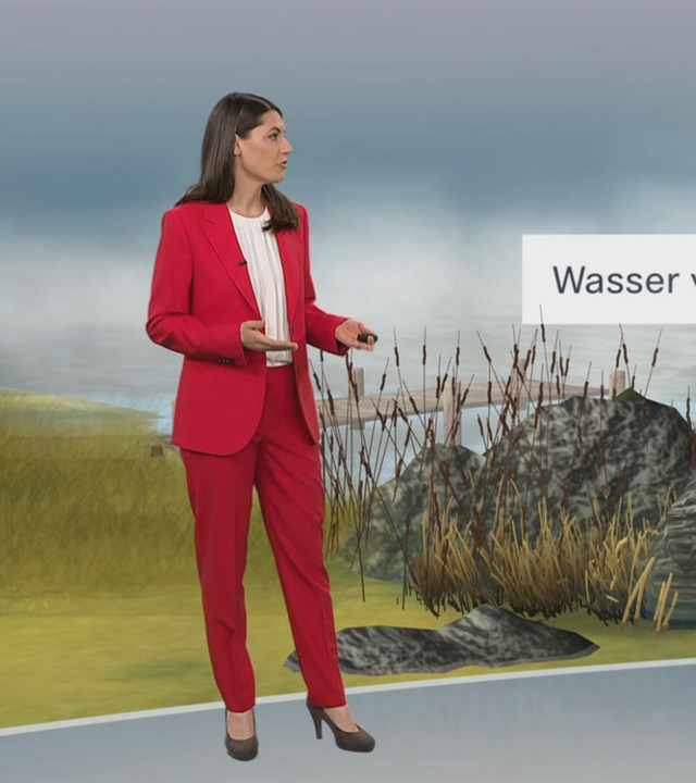 3D-Studio, 3D-Grafik, Christa Orben, Wiese, See, Nebel