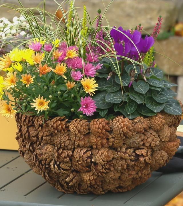 Ein schöner Blumenkübel