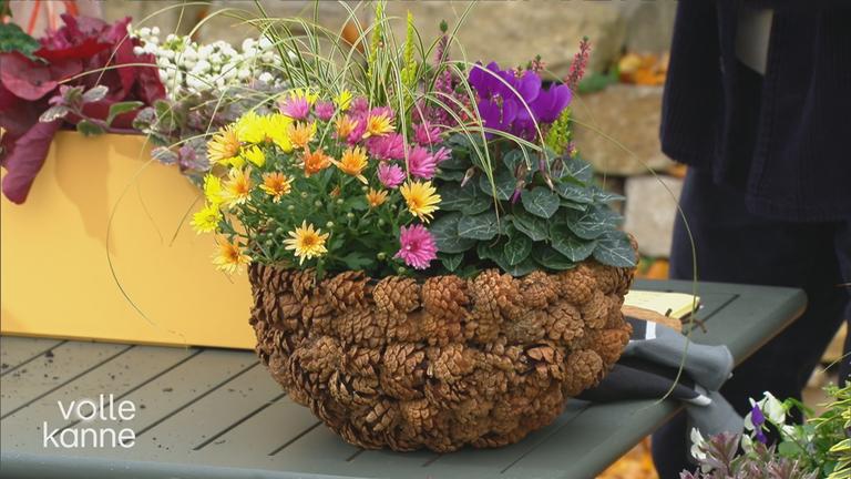 Ein schöner Blumenkübel