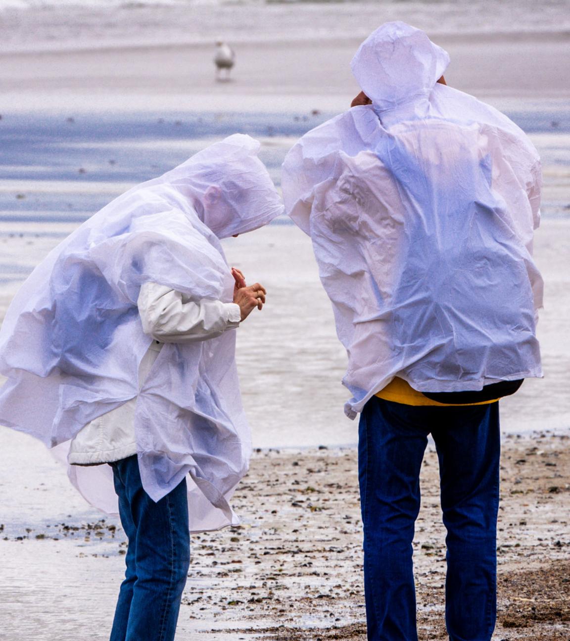 Spaziergänger mit Regenschutz suchen bei kräftigem Wind am Ostseestrand von Warnemünde nach Bernstein.