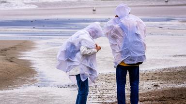 Spaziergänger mit Regenschutz suchen bei kräftigem Wind am Ostseestrand von Warnemünde nach Bernstein.
