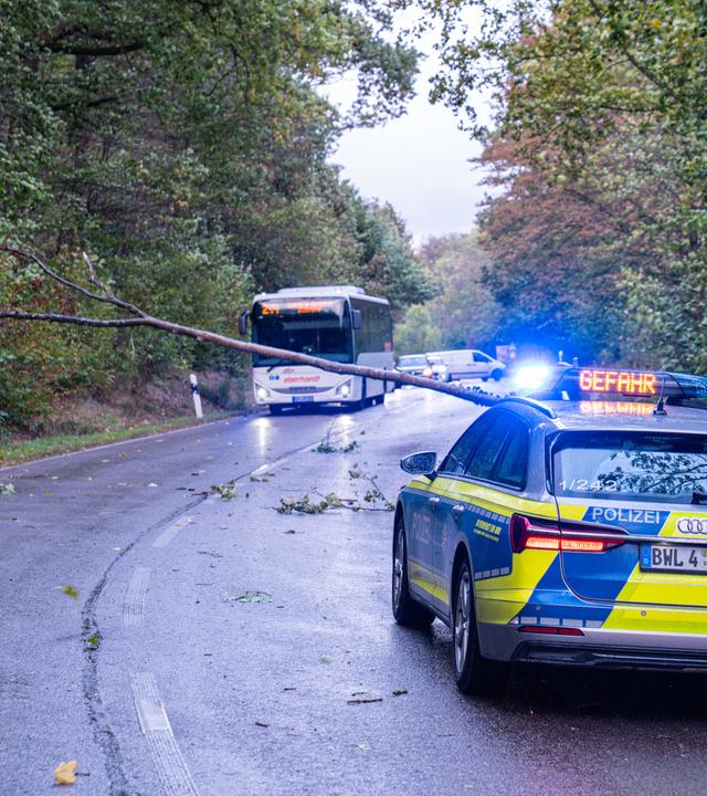 Sturmtief sorgt für gefährliche Lage im Südwesten: Ein umgegestürzter Baum behindert den Verkehr in Baden-Baden.