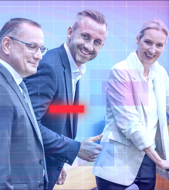 Montage: frontal-Design, Timo Chrupalla, Ulrich Siegmund, Alice Weidel